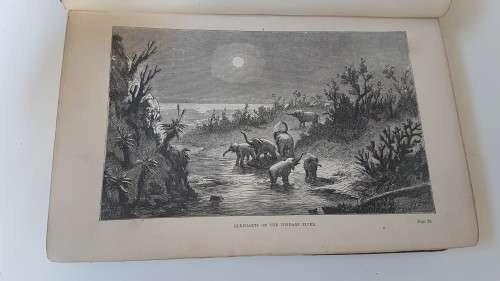 Original 1881 2 Volume Set: Holub. Seven Years in South Africa.