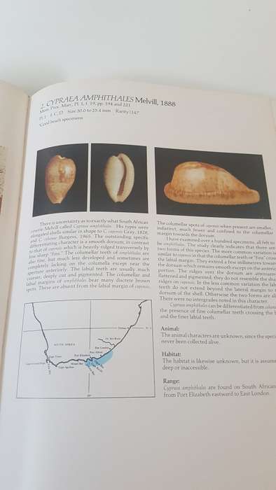 Burgess` Cowries of the World. Thorough Book, published in Cape Town by Gordon Verhoef. 1985 1st. Ed