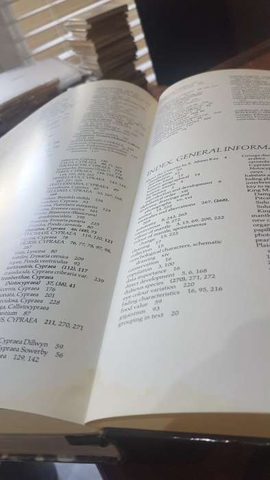 Burgess` Cowries of the World. Thorough Book, published in Cape Town by Gordon Verhoef. 1985 1st. Ed