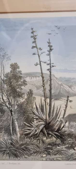 Thomas Bowler . Burns Hill Missionary Station. 1864  ORIGINAL  Victorian COLOUR Stone Lithograph.
