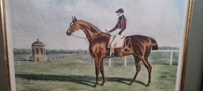 St. Patrick, Winner of the Great St. Leger  1820. HERRING, John Frederick. Racing Horse Aquatint !