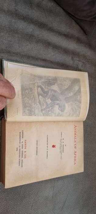 Animals of Africa Bryden, H.A. Illustrated by E. Caldwell. 1909 Edition!