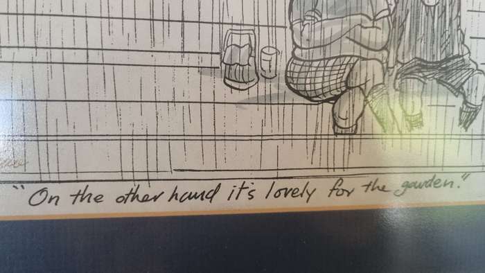 Tony Grogan. Cape Times Rugby Newlands cartoon with hand inscription and signature.