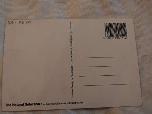 Postcard: The Natural Selection: design by Rose Rigden