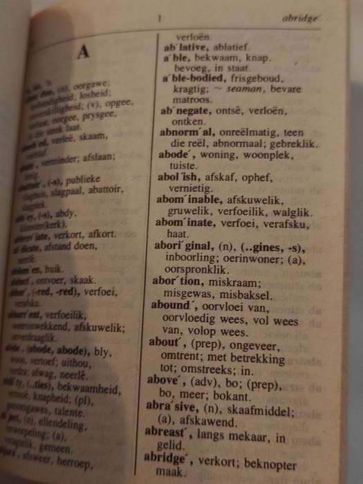 Kritzingers Mini-Dictionary English-Afrikaans & Afrikaans English