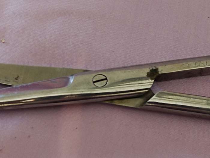 Medical Stainless steel Scissors (a)