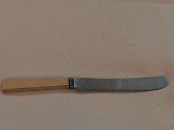 KNIFE: Fine Plate Cutlery Co. Sheffield patee` knife