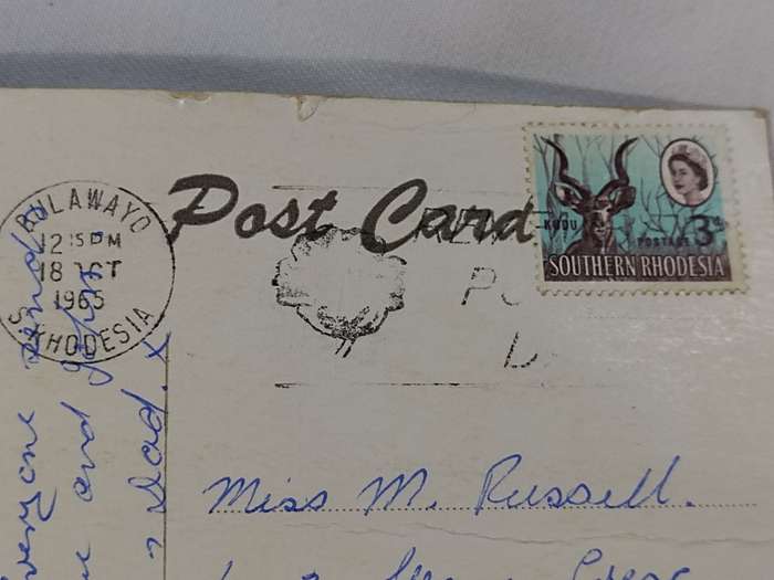 Postcard: Posted Southern Rhodesia. Giraffe bull