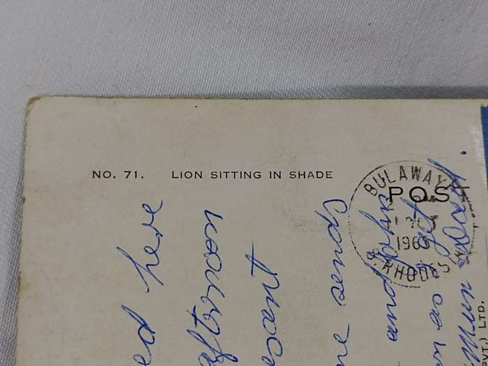 Postcard: Lion sitting in shade