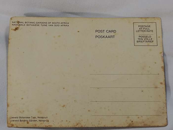 National Botanic Gardens South Africa postcard