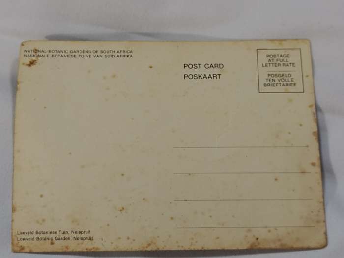 National Botanic Gardens South Africa postcard