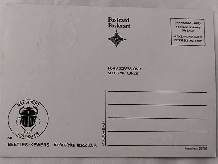 Postcard: Beetles/Kewers