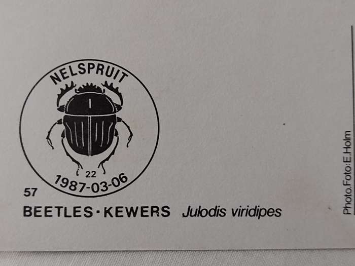 Postcard: Beetles/Kewers