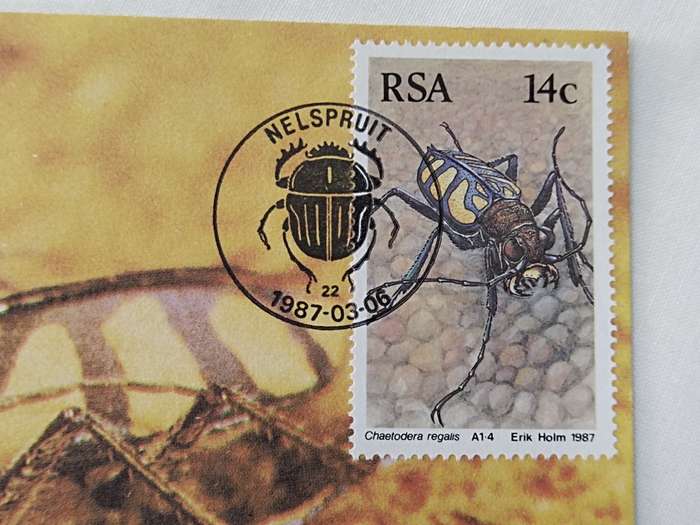 Postcard: Beetles-Kewers