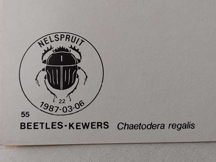 Postcard: Beetles-Kewers