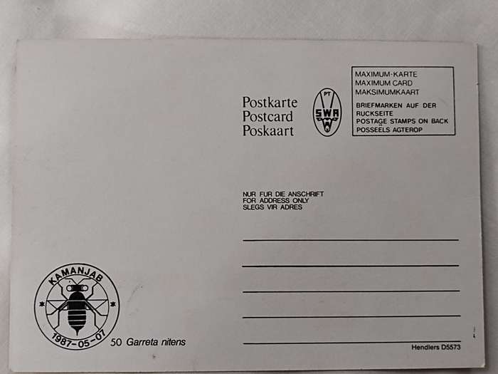 Postcard: 50 Garret Nitens