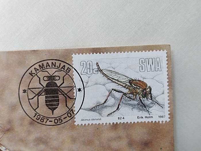 Postcard: 51 Alcimus Stenurus