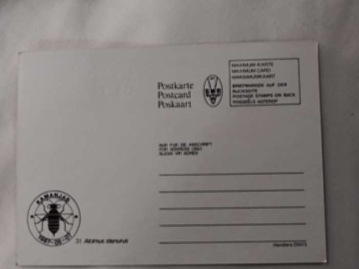 Postcard: 51 Alcimus Stenurus