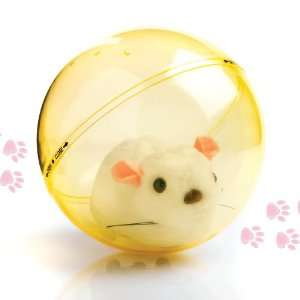 Battery operated Hamster ball fun, See the hamster moves around!  - R1 no reserve