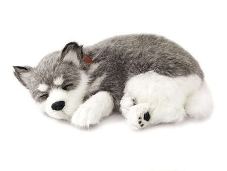 ONLY FEW left! Sleeping Pup, Battery operated see him breathing while sleeping! R1 No Reserve