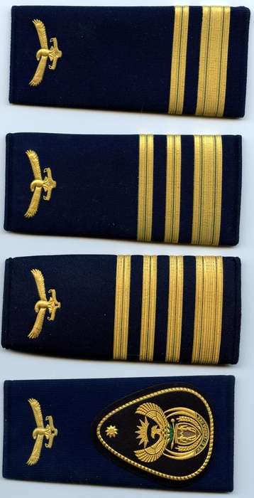 SA Air Force Step-Out Ranks Lot