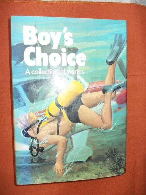 Boys - Boys choice by a collection of writers - 22 stories