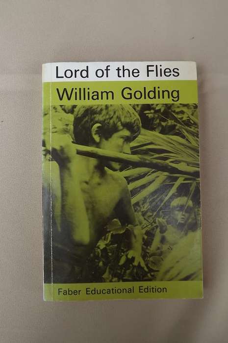 Book - Lord of the Flies by William Golding - Stunning Book!