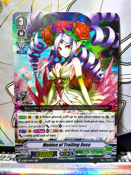 Cardfight Vanguard - Maiden of Trainling Rose - RR