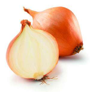 Onion Australian Brown - Allium Cepa - 400 Seeds - Vegetable