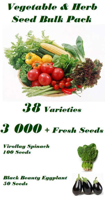 Vegetable & Herb Bulk Seed Pack - 38 Varieties - 3 000+ Seeds