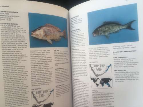 A GUIDE TO THE COMMON SEA FISHES OF SOUTHERN AFRICA, RUDY VAN DER ELST, R140.