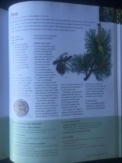 NATURES MEDICINES (READERS DIGEST) R60.