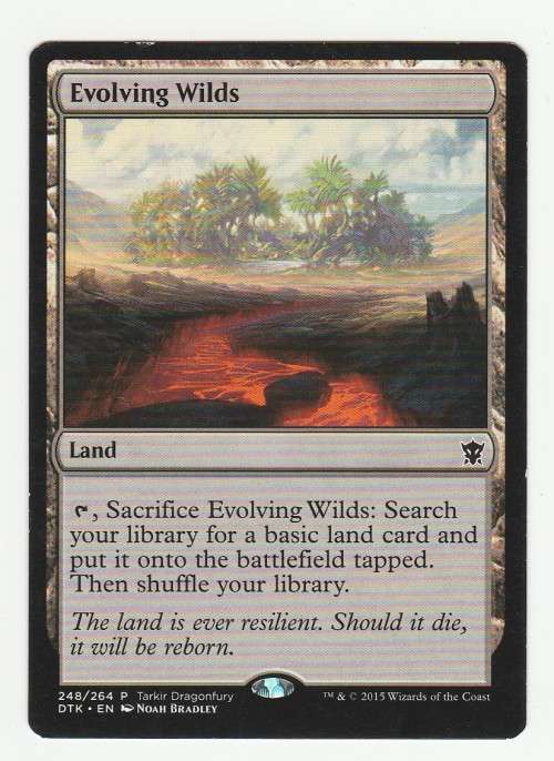 Magic the Gathering 2015 (NM) - Evolving Wilds - Common - Tarkir Dragonfury