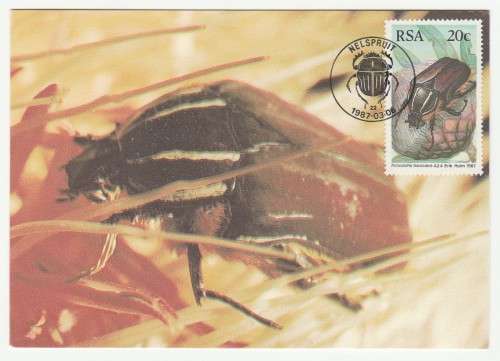 1987 RSA Beetles # 55 - 58 Postcard Set