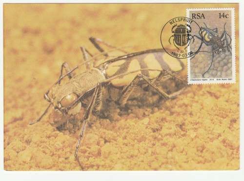 1987 RSA Beetles # 55 - 58 Postcard Set