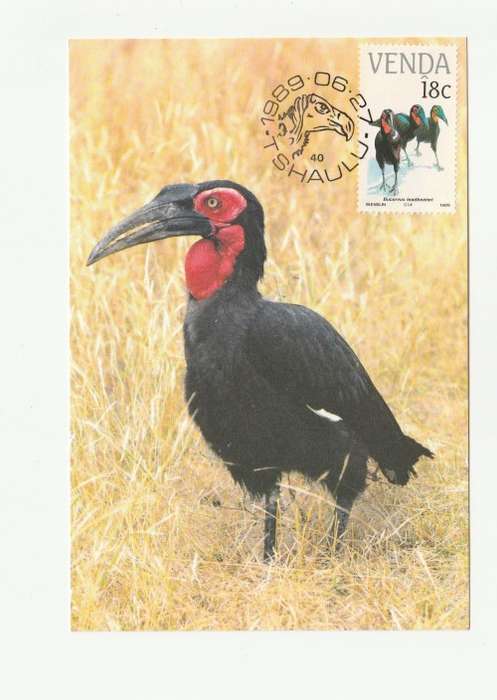 1989 Venda Vulnerable Birds Postcard Set 78 - 81