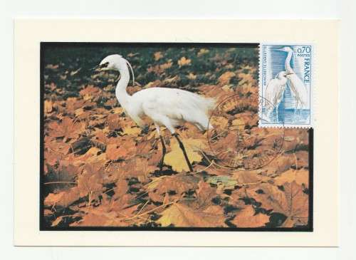 1975 France 15/02/75 Protection De La Nature L`Aigrette Garzette FDC and Maxicard Set