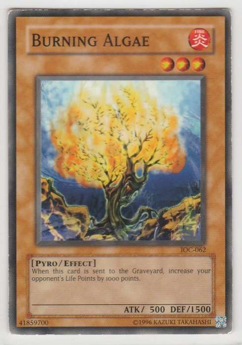 Yu-Gi-Oh! - Burning Algae - Invasion of Chaos (IOC-062) - Common