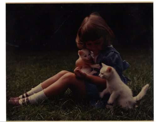 Girl and kittens  Negative