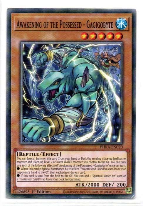 Yu-Gi-Oh! - Awakening of the Possessed - Gagigobyte - 1st Ed/Common - Phantom Rage (PHRA-EN020)