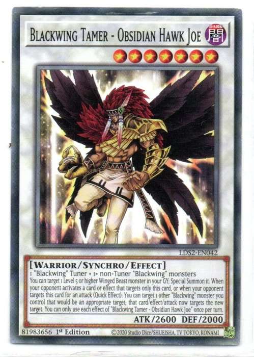 Yu-Gi-Oh! - Blackwing Tamer - 1st Ed/Common - Legendary Duelists: Season 2 (LDS2-EN042)