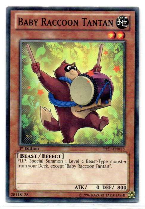 Yu-Gi-Oh! - Baby Raccoon Tantan - 1st Ed/Common - Shadow Specters (SHSP-EN015)