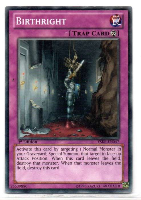 Yu-Gi-Oh! - Birthright - 1st Ed/Common - Starter Deck: Kaiba Reloaded (YSKR-EN047)