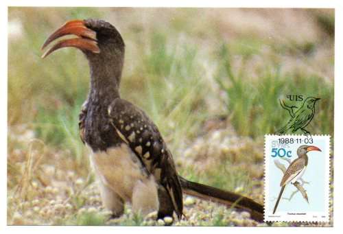 1988 South-West Africa Birds Postcard #74 - 77 Set
