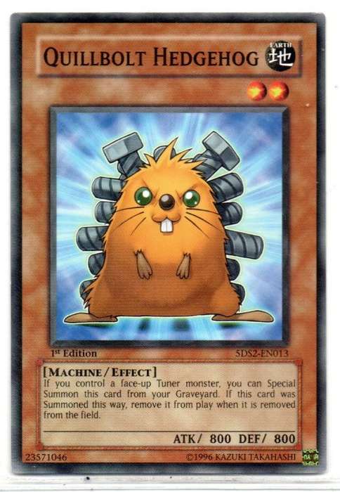 Yu-Gi-Oh! - Quillbolt Hedgehog - 1st Ed/Common - Starter Deck: Yu-Gi-Oh! 5D`s 2009 (5DS2-EN013)