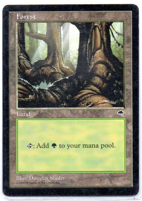 Magic The Gathering 1997 - Forest - Tempest