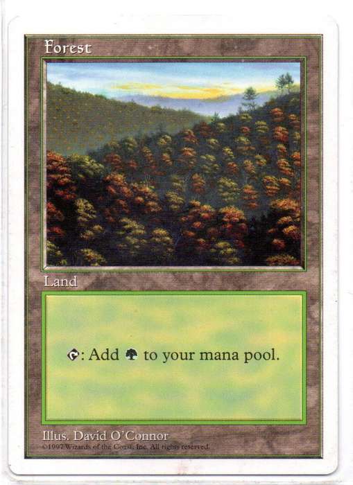 Magic The Gathering 1997 - Forest - Fifth Edition
