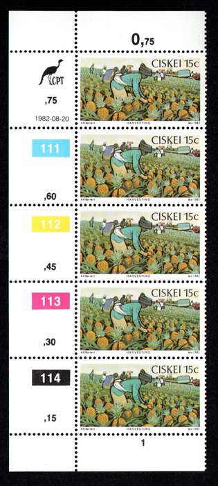 Ciskei 1982/08/20 Pineapple Industry Control Block Set