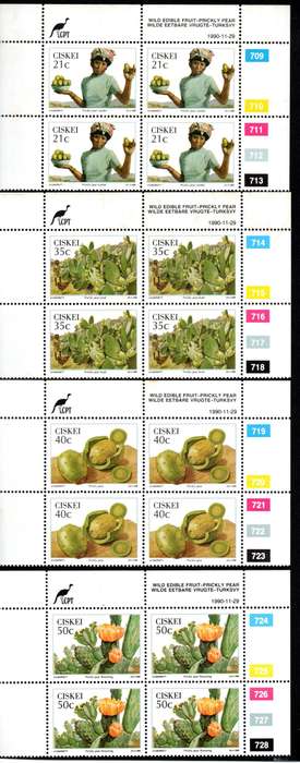 Ciskei 1990/11/29 Wild Edible Fruit Prickly Pear Control Block Set