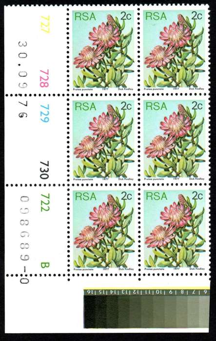 RSA 1976/09/30 3rd Definitive issue 2c Control Blocks Pane B